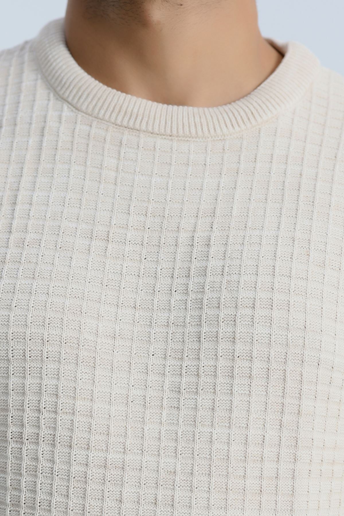 Bisiklet Yaka Desenli Erkek Triko Bej - 70776.1766.