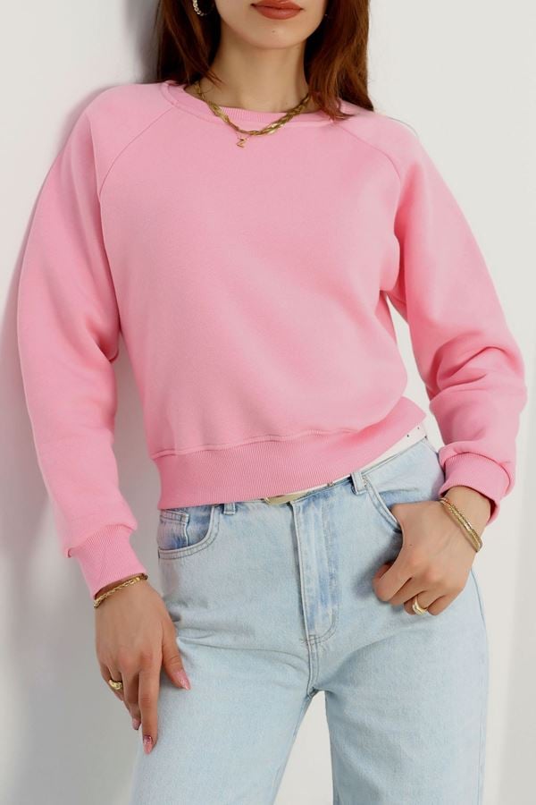 Bisiklet Yaka 3 İplik Sweat Pembe - 20958.1878.