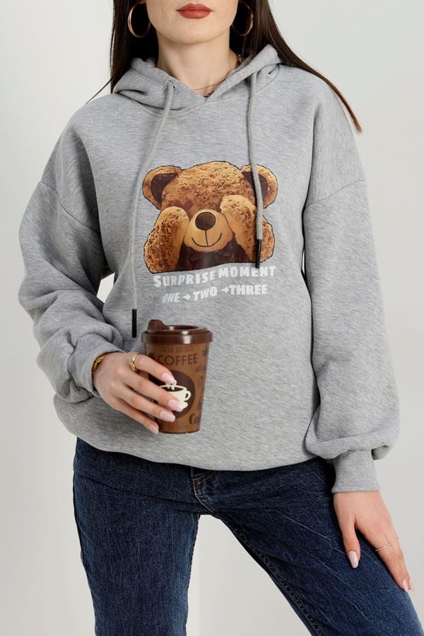 3 İplik Kapşonlu Baskılı Sweat Gri - 42220.1878.