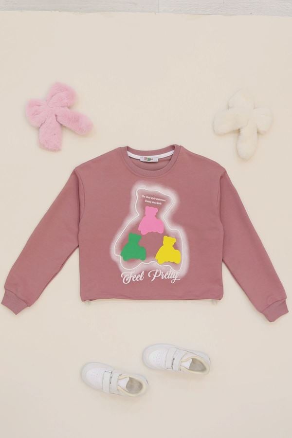 7-14 Yaş 2 İplik Şardonsuz Sweat Gülkurusu - 50896.2017.