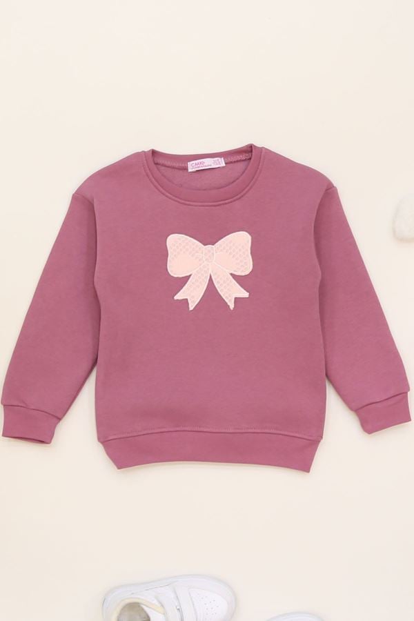 3-12 Yaş 3 İplik Şardonlu Sweat Gülkurusu - 60515.1867.