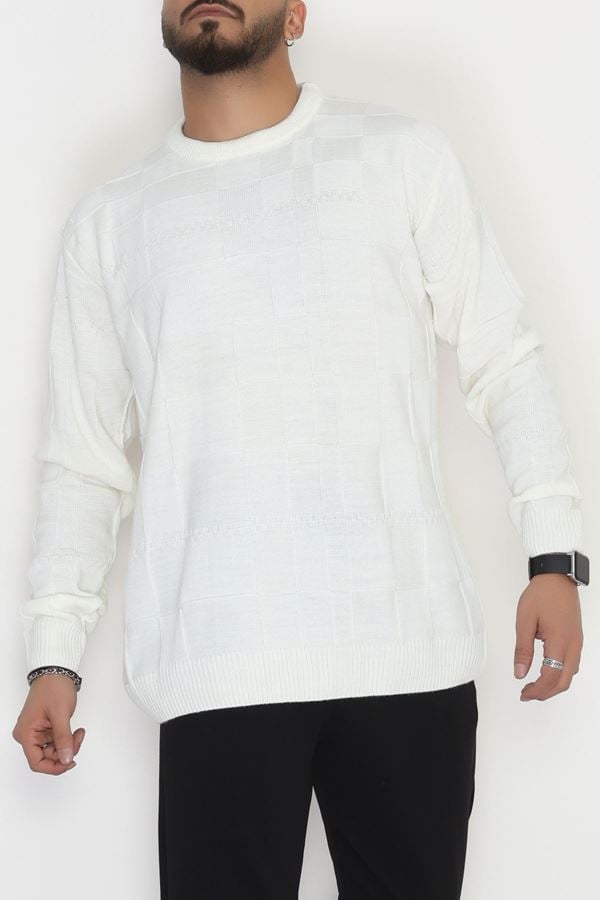 Bisiklet Yaka Desenli Erkek Triko Ekru1 - 70782.1766.