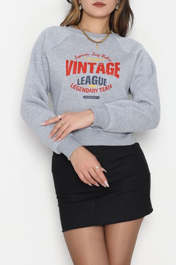 3 İplik Şardonlu Baskılı Sweat Gri - 42605.1878.