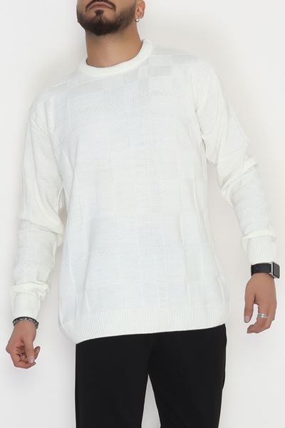 Bisiklet Yaka Desenli Erkek Triko Ekru1 - 70782.1766.