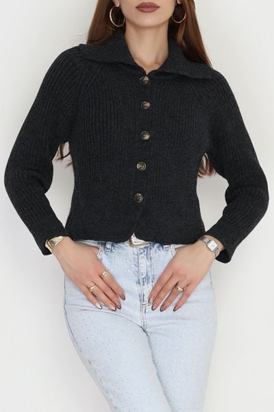 Polo Yaka Triko Hırka Antrasit - 2283.1765.