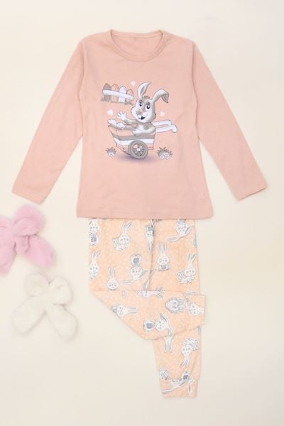 6-14 Yaş Baskılı Çocuk Pijama Takımı Grisomon1 - 40101.1931.