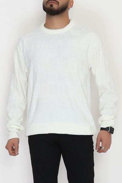 Bisiklet Yaka Desenli Erkek Triko Krem - 70782.1766.